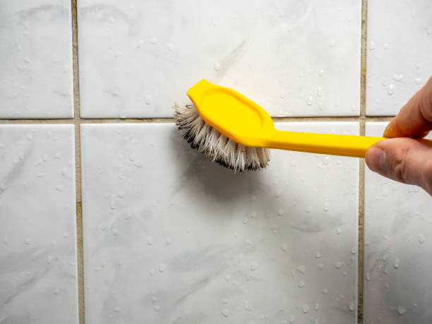 Best Affordable Mold Removal  in Lusby, MD