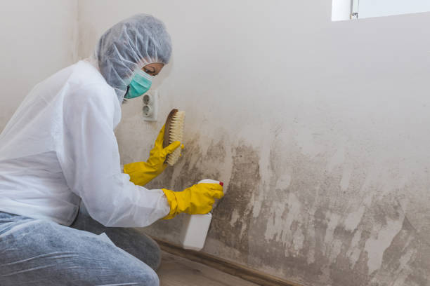 Best Crawl Space Mold Removal  in Lusby, MD