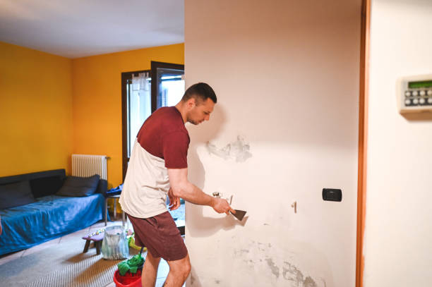 Best Mold Cleaning Services  in Lusby, MD